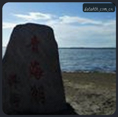 刘洋